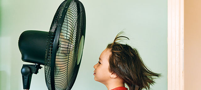 photo - Child in Front of Electric Fan