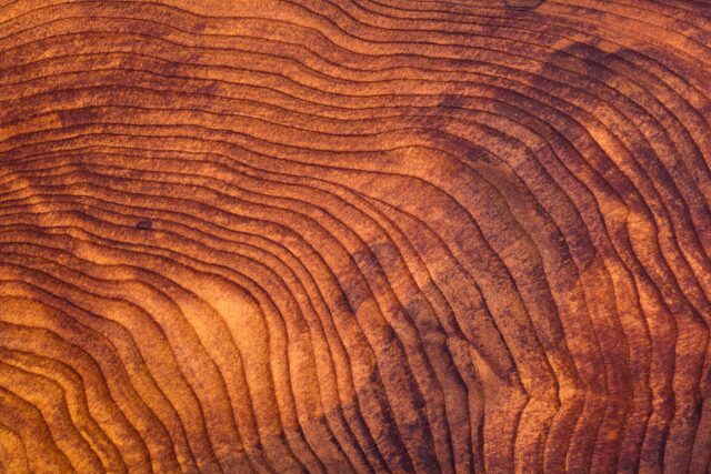 photo - Close Up of Redwood Burl Wood Grain Texture