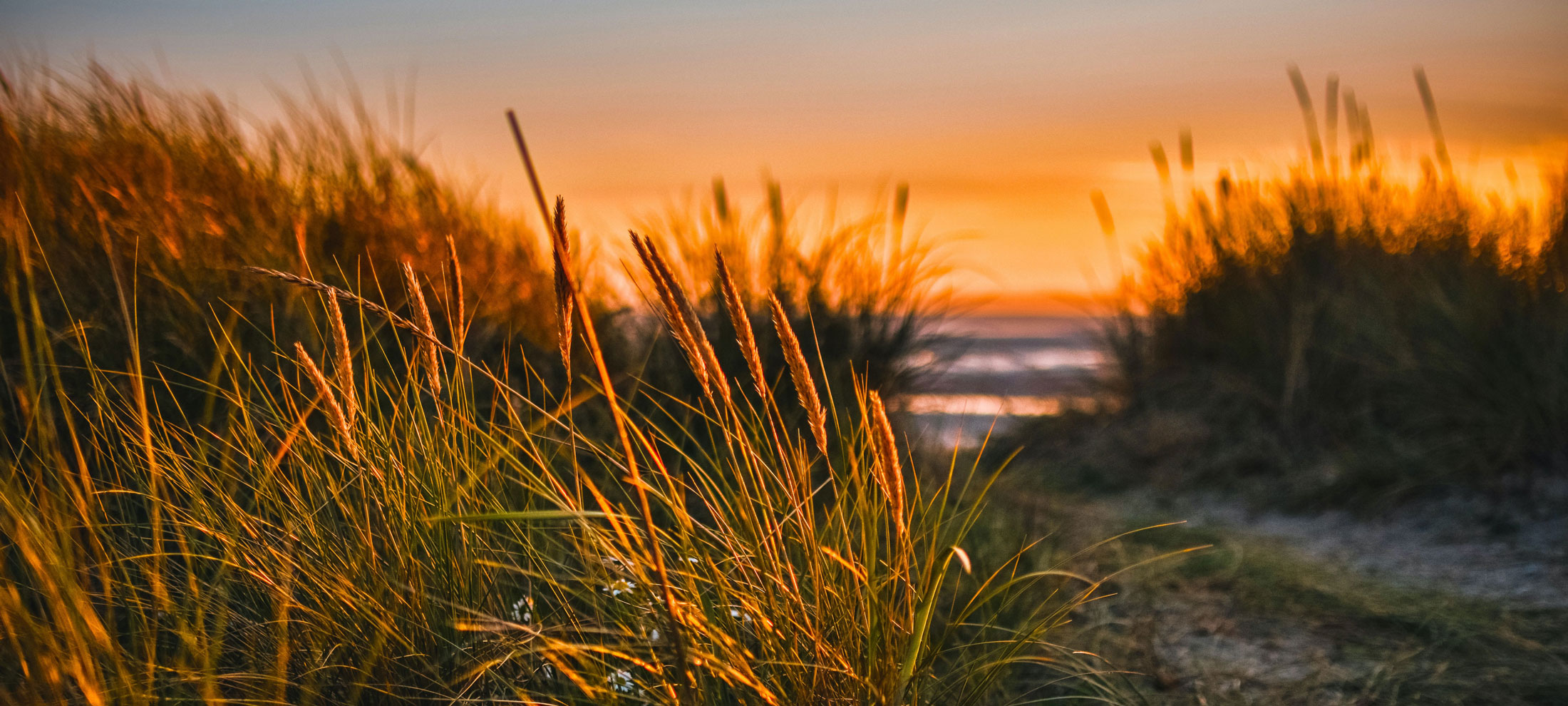 photo - Sunset on the California coast