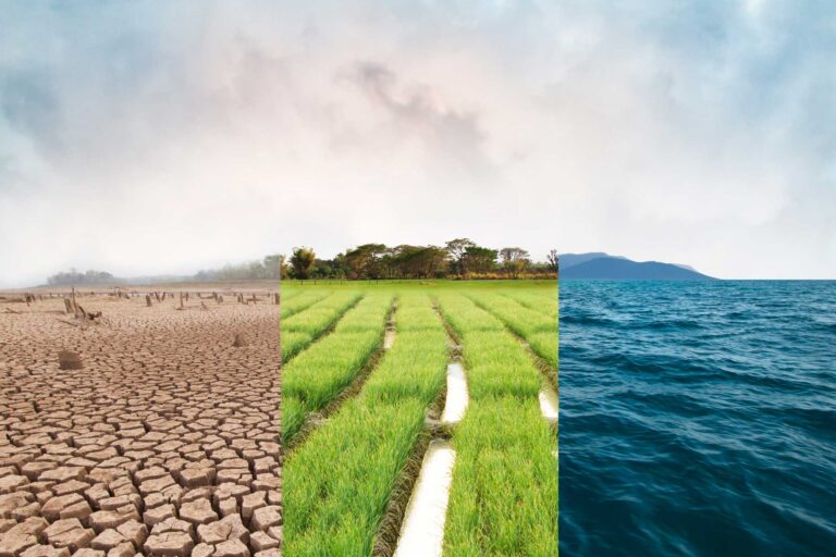 photo - Drought Landscape, Green Fields, and Ocean Triptych