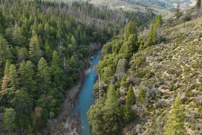 photo - Eel River, from Cameron Nielsen Documentary