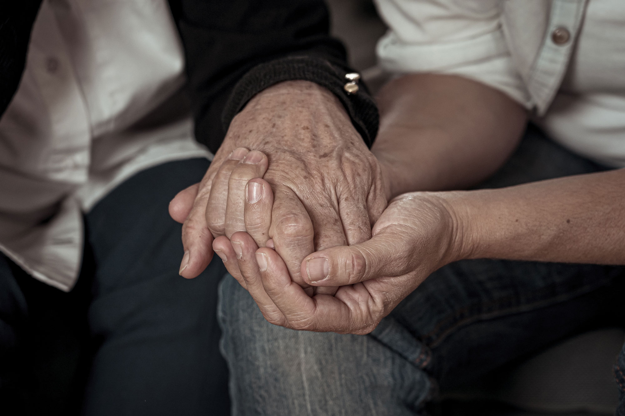 photo - Elderly Person's Hand Being Held