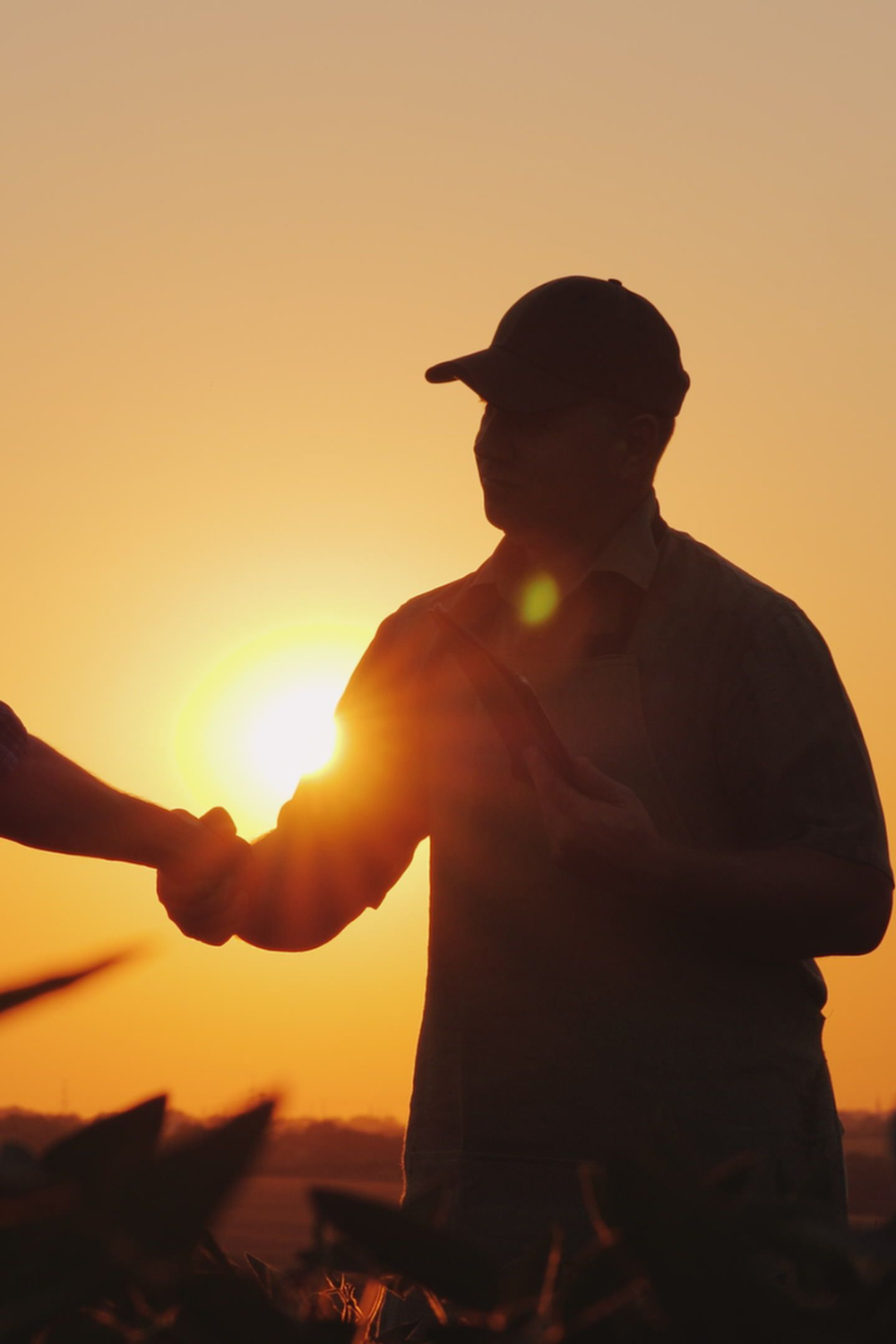 Farmers shaking hands in field