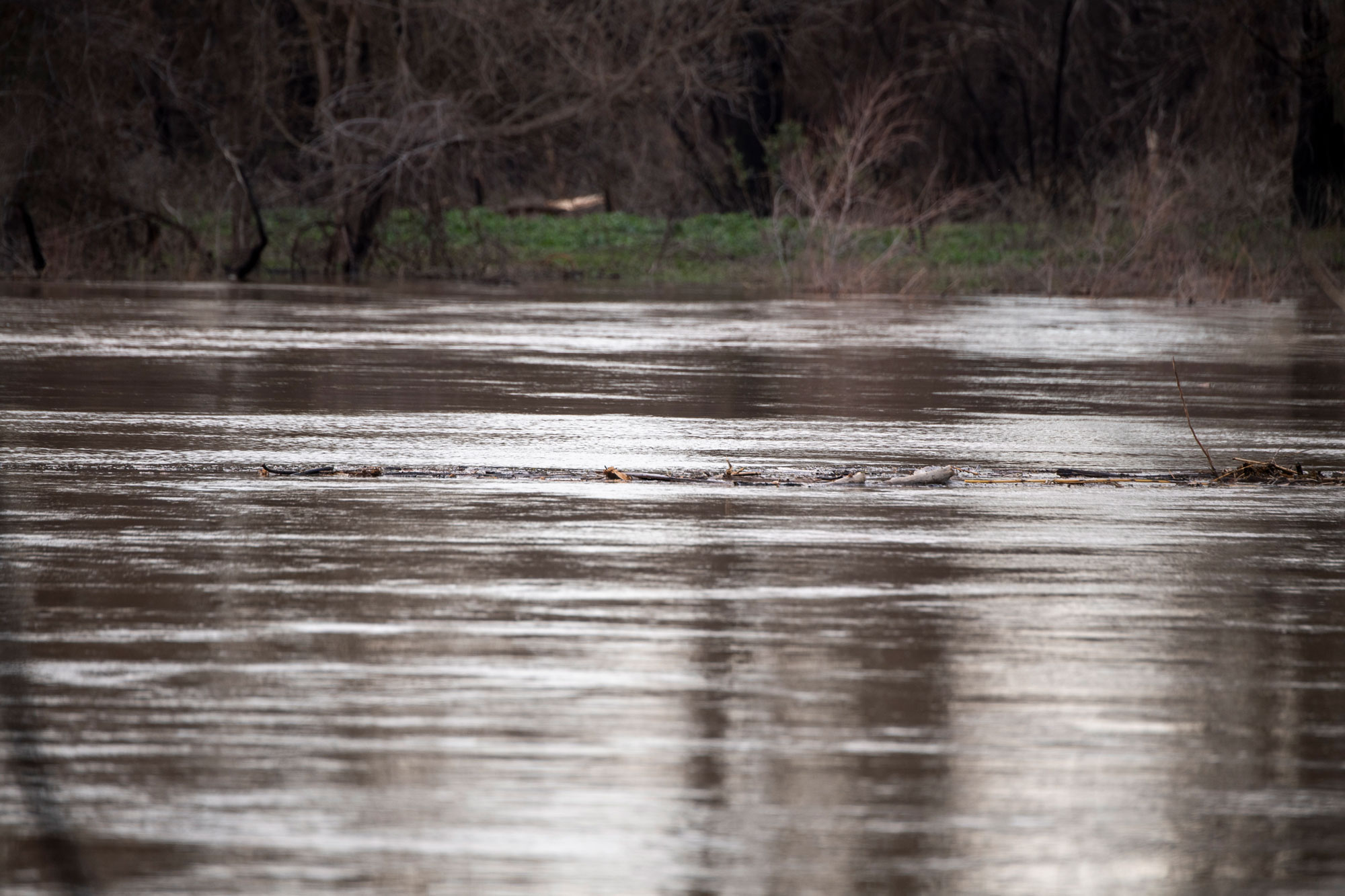 photo - Floodwaters from the Sacramento River, pixel-ca-dwr-2023_01_12_KJ_0510_Tisdale_Colusa_Weirs