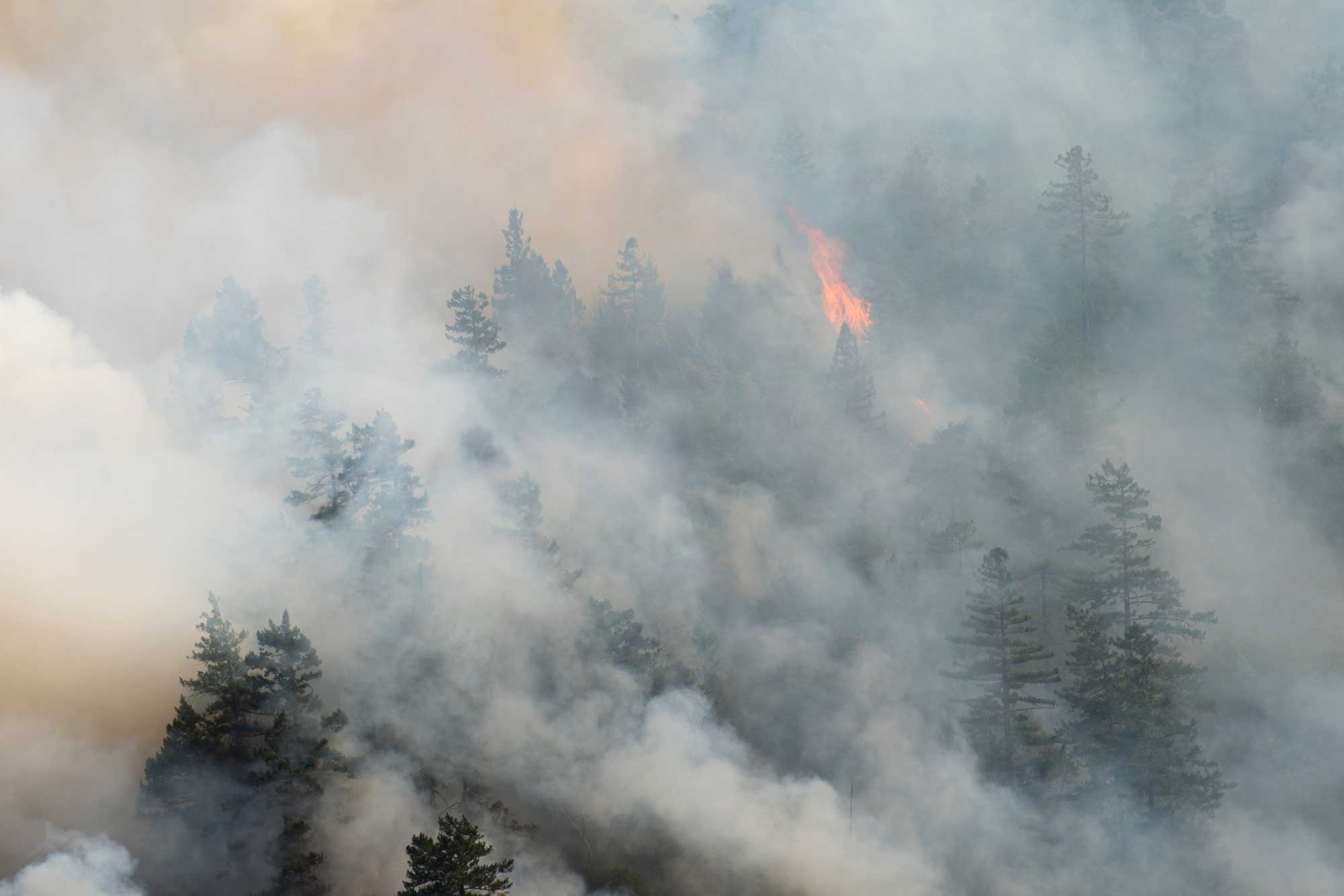 photo - Forest Fire in Northern California