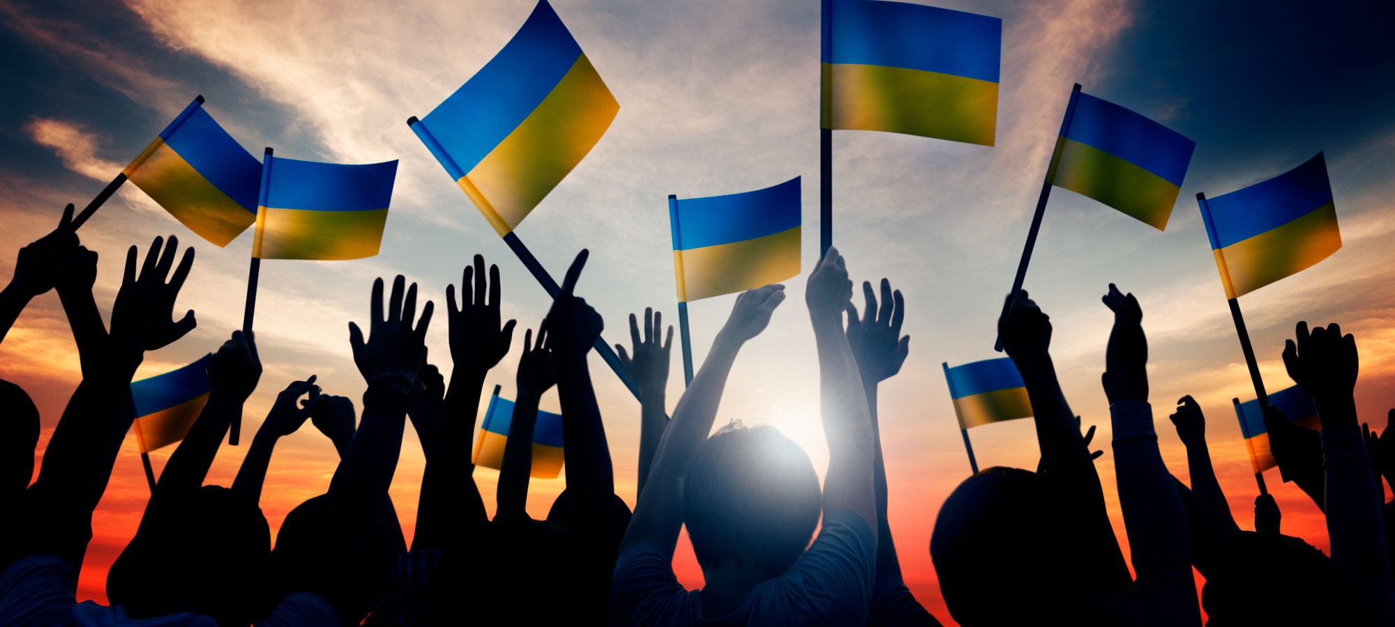 photo - Group of People Waving Ukranian Flags