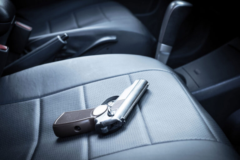 photo - Gun Sitting On Front Seat of Car