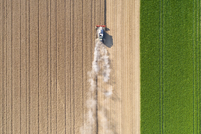 photo - Harvesting a Wheat Field and Dust Clouds