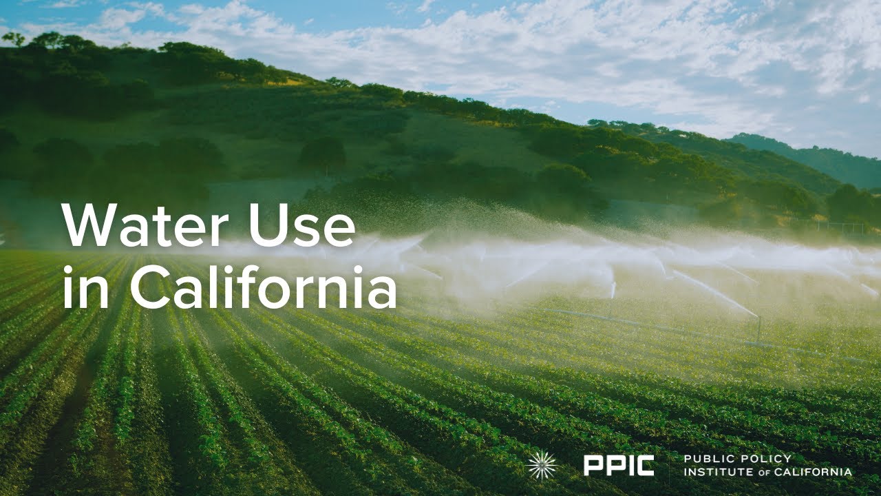 Water Use in California
