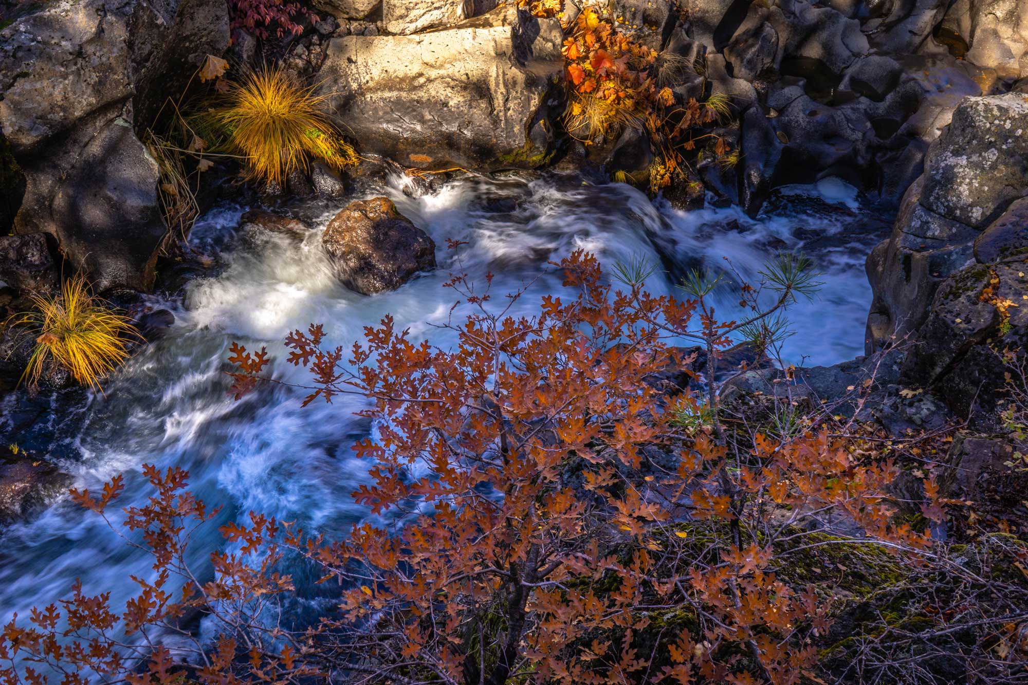 photo - McCloud River and Colorful Leaves