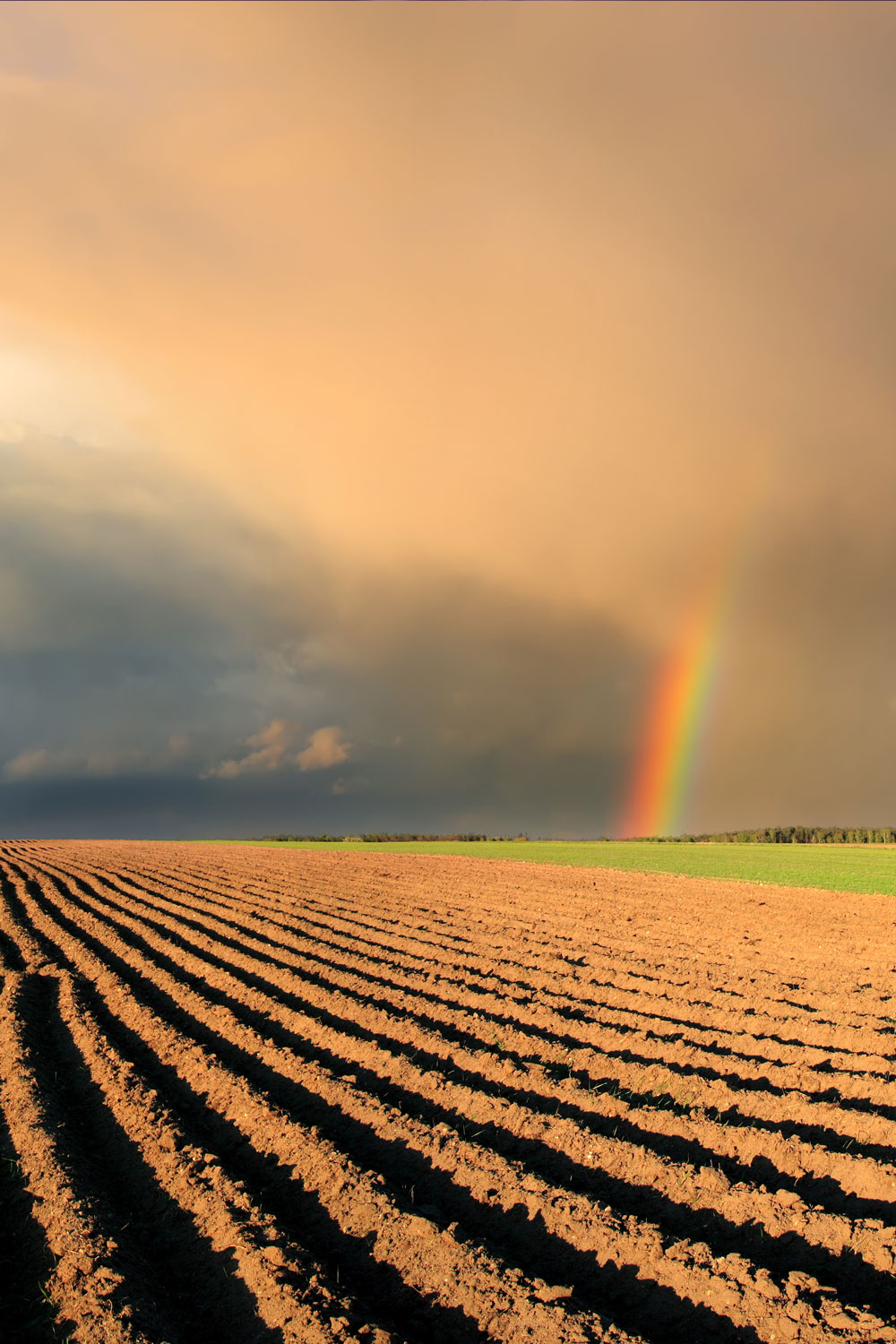 photo - Plowed Fields and Rainbow