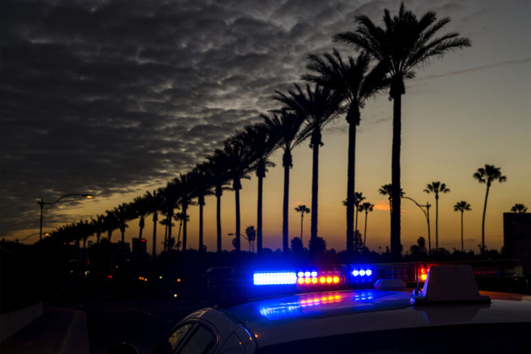 photo - Police Lights and Palm Trees at Dusk
