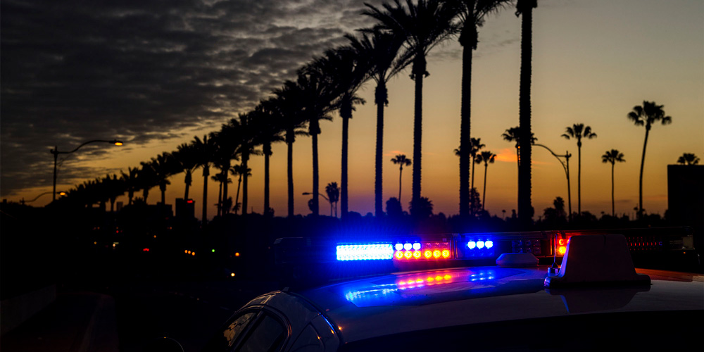 photo - Police Lights and Palm Trees At Dusk
