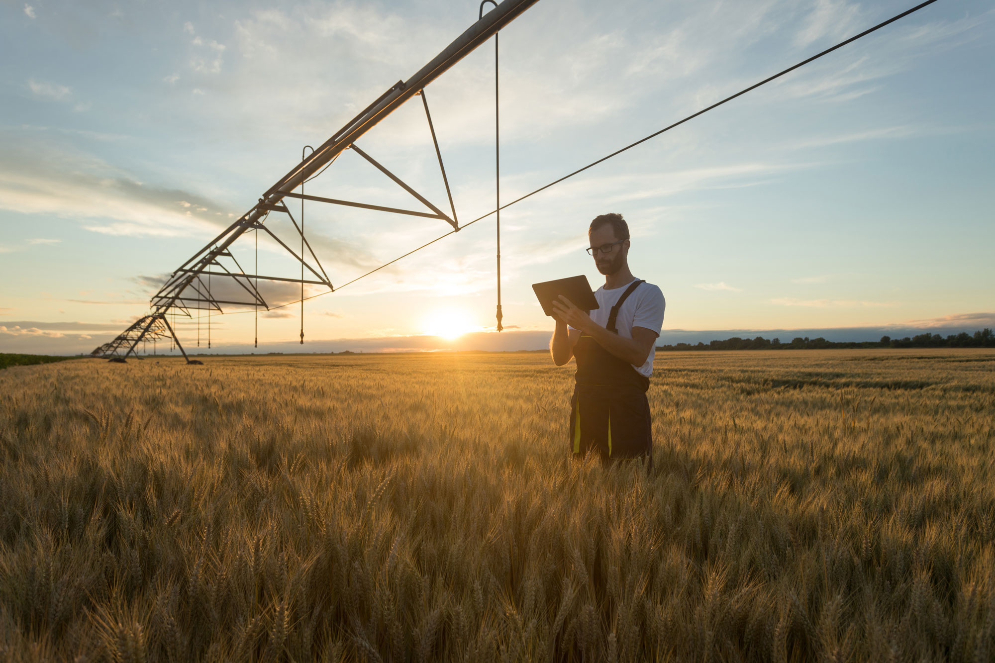 photo - Farmer Or Agronomist Standing In Wheat Field Beneath Irrigation System