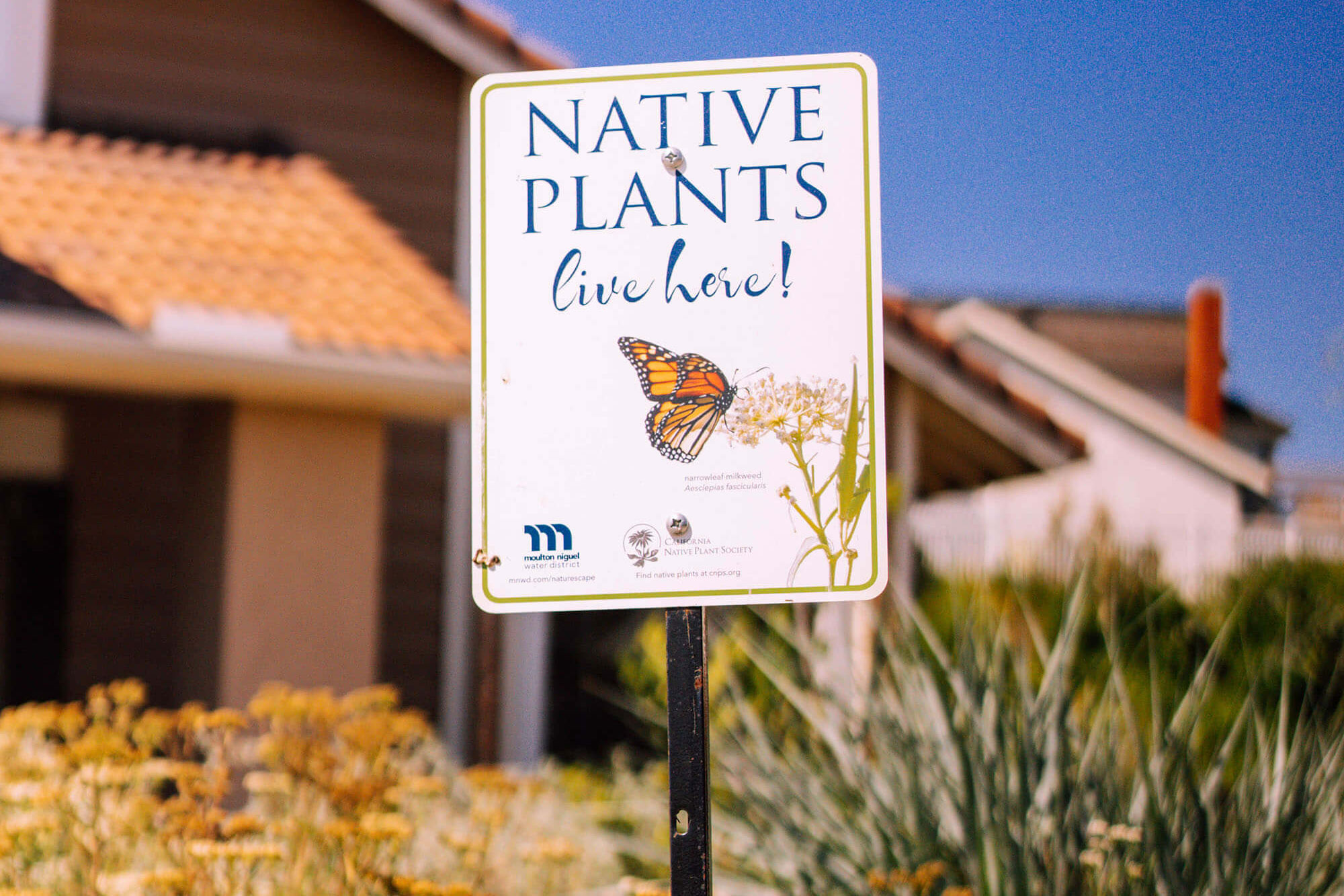 photo - Native Plants Live Here Sign From California Native Plant Society
