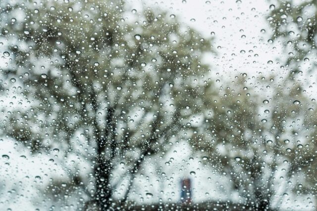 photo - Raindrops on a Window and Trees in Background
