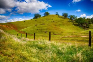 photo - Rolling Green Hills of a Ranch Outside of Fresno, California