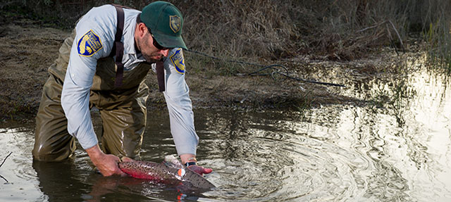 photo - Salmon Release into San Joaquin River
