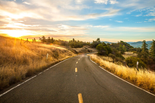 photo - Scenic Road at Dawn in Mendocino County