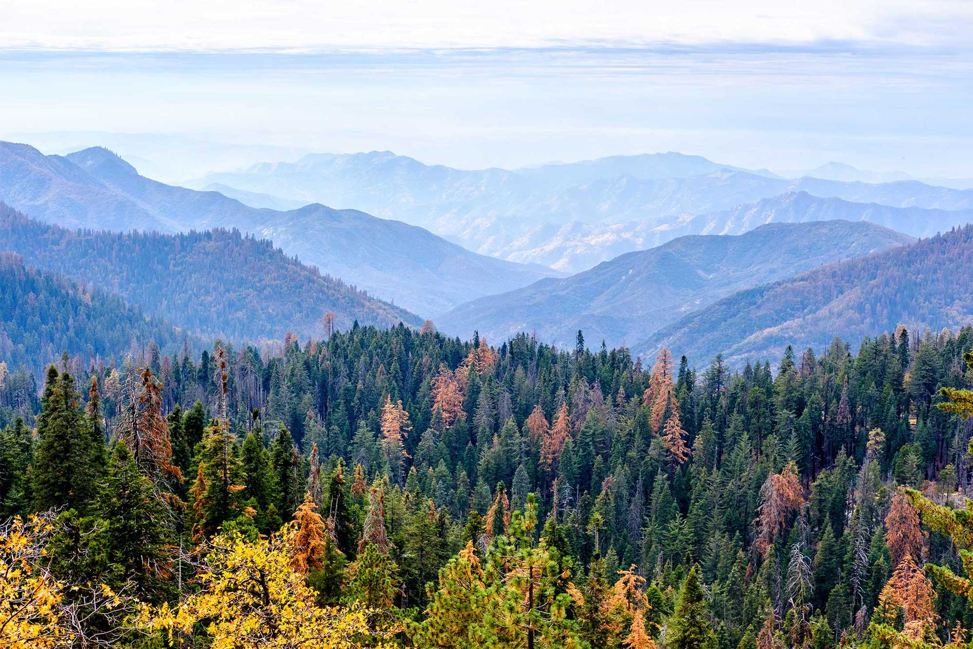 photo - Sequoia National Park Mountain Landscape in Autumn