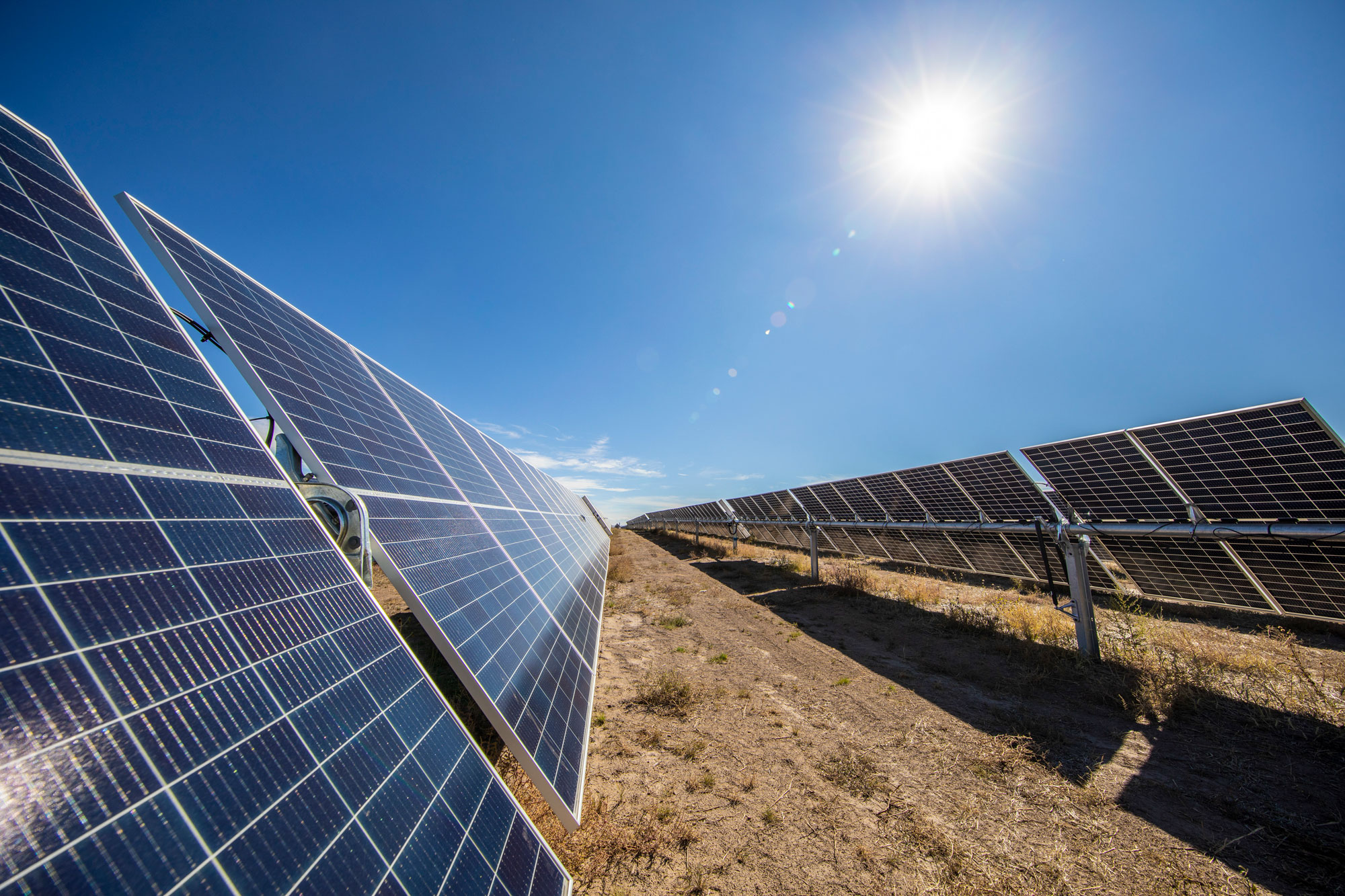 photo - Solar Farm in Central California