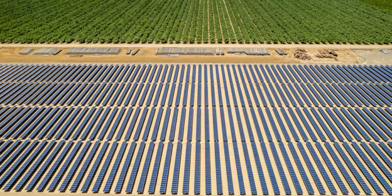 photo - Solar Farm