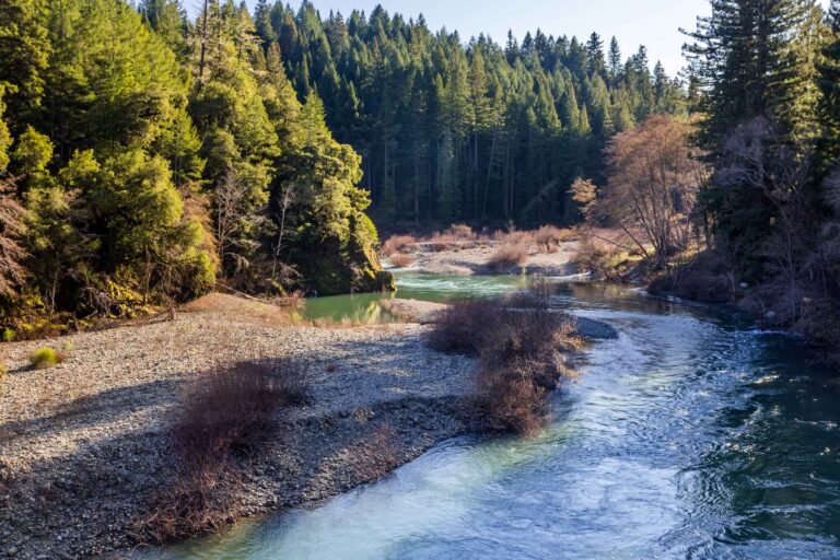 photo - South Fork Eel River Banks in Sunny Weather