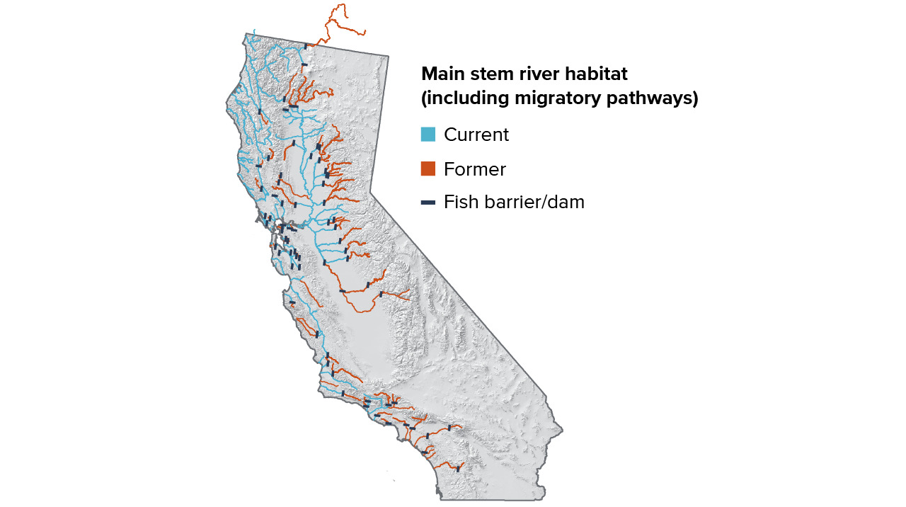 figure 2 - Dams have disconnected headwaters for salmon and steelhead throughout California