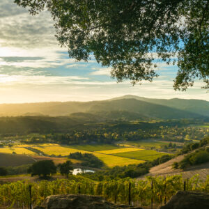 photo - Sunset at Sonoma California Patchwork Vineyard at Harvest