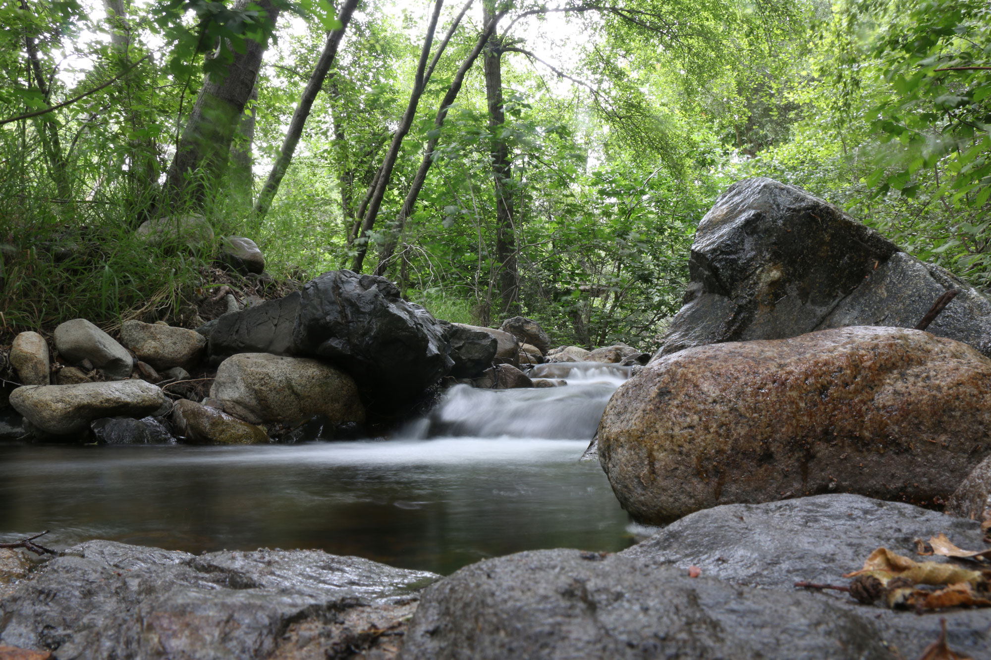 photo - Trabuco Creek in Cleveland National Forest