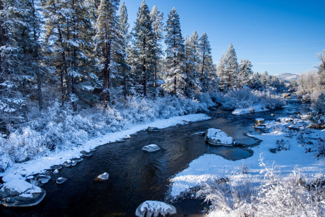 photo - Truckee River after Winter Storm, Pixel CA DWR-2021_12_10_KG_2243_snow_Truckee