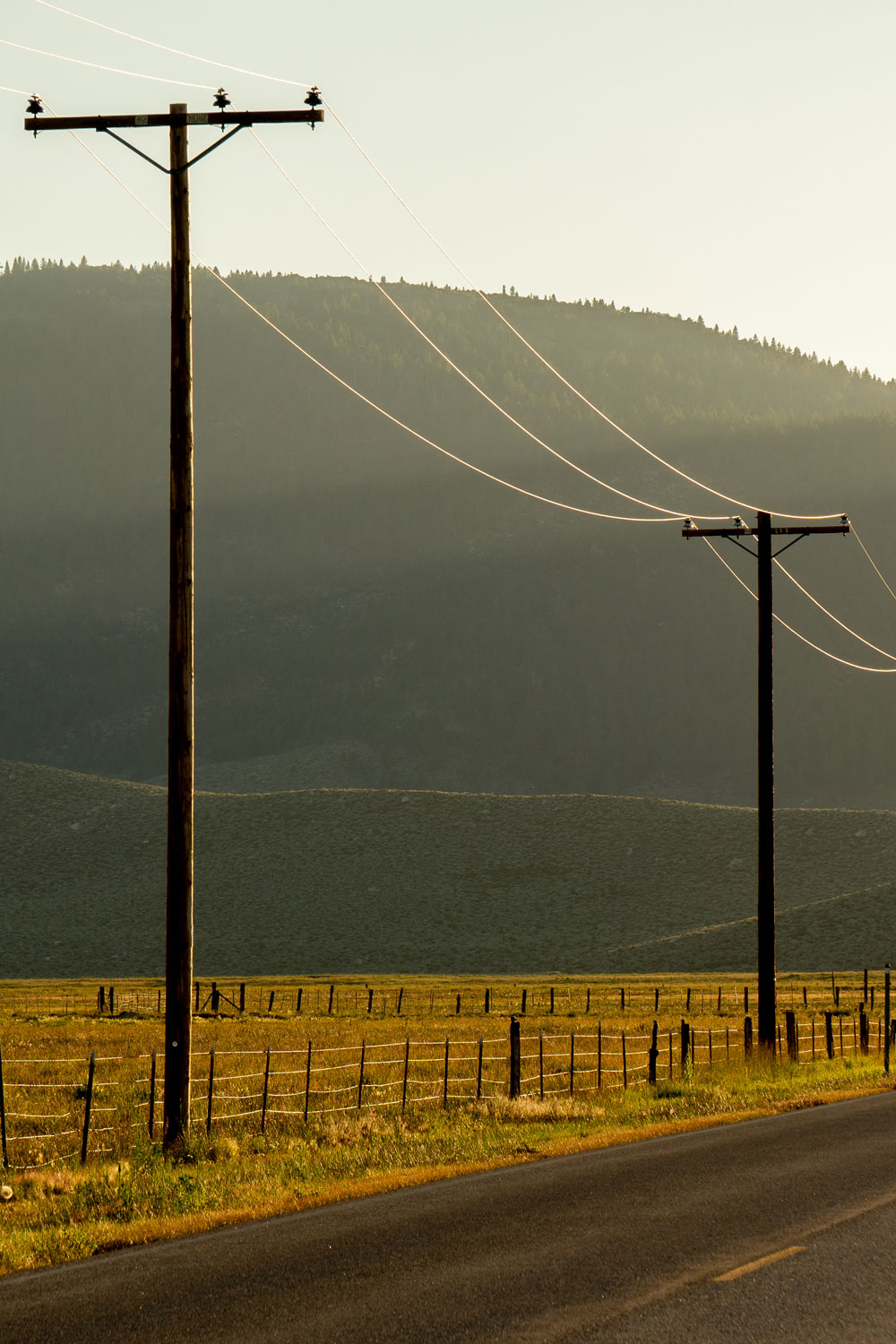 photo - Utility Poles on Rural Road