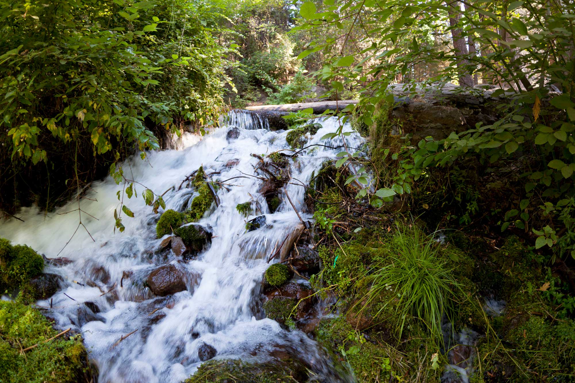 photo - Waterfall at the Sacramento River Headwaters