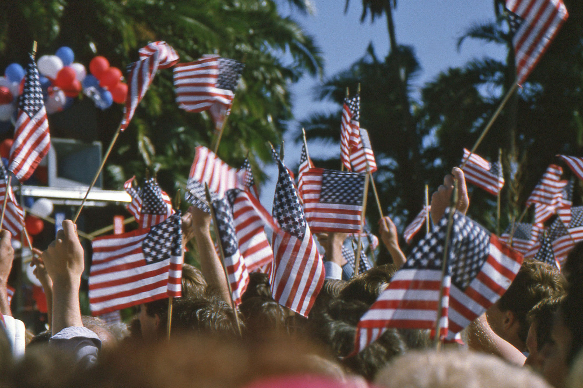 photo - Waving US Flags at a Campaign Rally