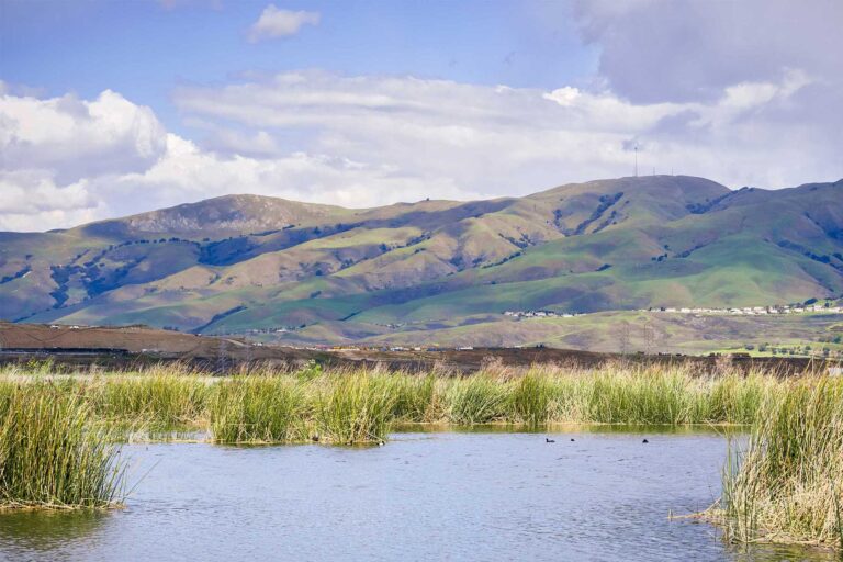photo - Wetlands and the Diablo Range Mountains in the background, in San Jose, California