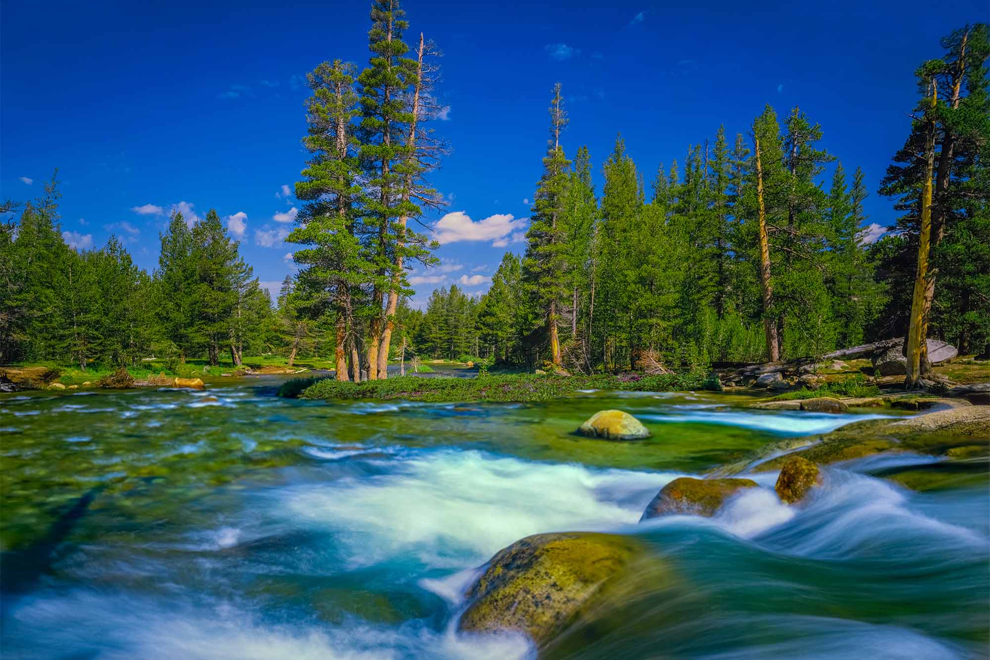 photo - Whitewater River in Forest