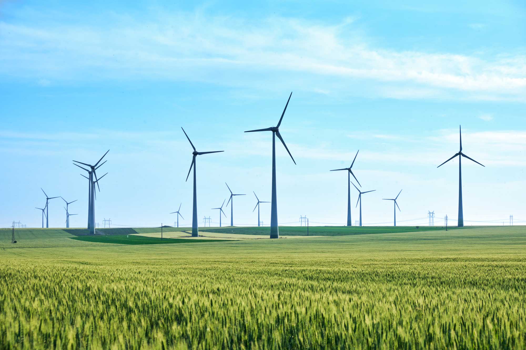 photo - Wind Turbines and Green Field