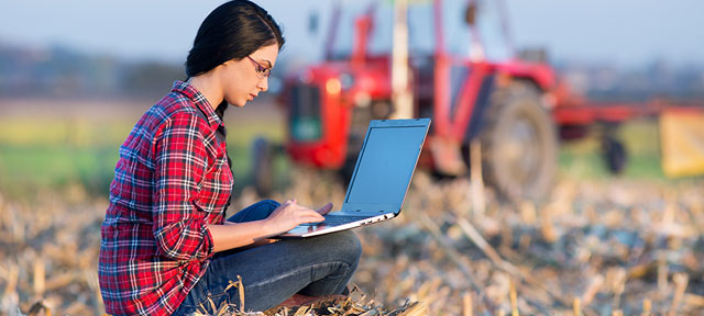 Photo of a woman on her laptop in a cornfield on a farm